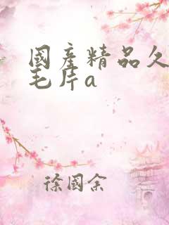 国产精品久久久毛片a