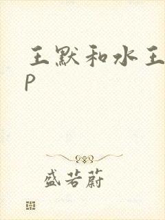 王默和水王子cp