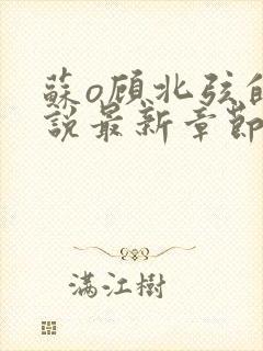 苏o顾北弦的小说最新章节