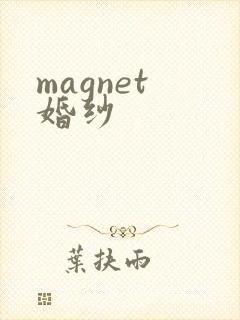 magnet 婚纱