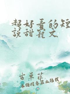 超好看的短篇小说甜宠文