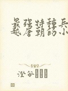 最强特种兵王穿越唐朝的小说