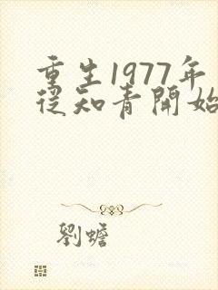 重生1977年从知青开始的小说