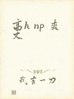 高h np 爽文