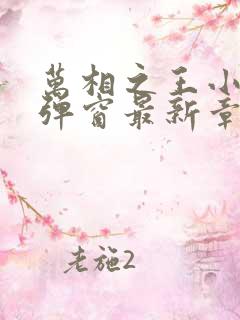 万相之王小说无弹窗最新章节