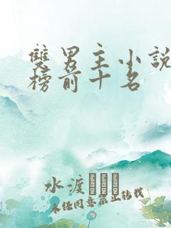 双男主小说排行榜前十名