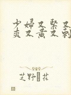 少妇又紧又猛又爽又黄又刺激的视频