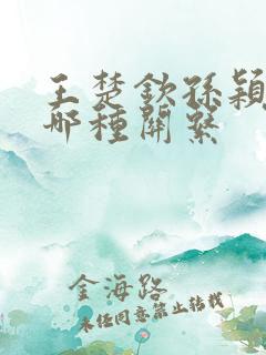 王楚钦孙颖莎是哪种关系