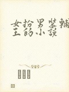 女扮男装辅佐帝王的小说