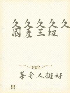 久久久久久精品国产三级