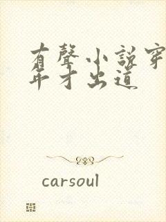 有声小说穿越八年才出道