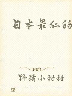 日本最红的女优