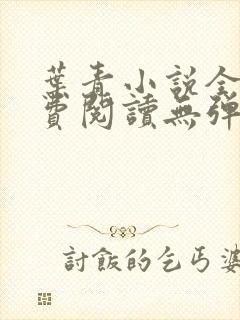 叶青小说全文免费阅读无弹窗