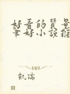 好看的质量高文笔好小说推荐