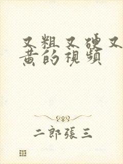 又粗又硬又大又黄的视频