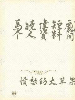 马晓伟短剧演员个人资料简介