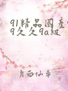 91精品国产99久久9a级
