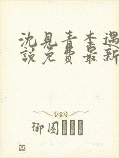 沈见青李遇泽小说免费最新章节阅读