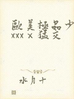 欧美极品少妇xxxxⅹ猛交