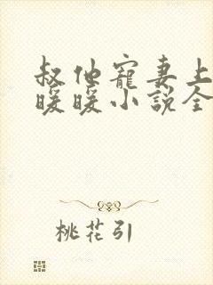 叔他宠妻上瘾古暖暖小说全本免费阅读