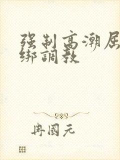 强制高潮屈辱捆绑调教