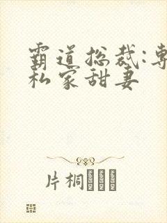 霸道总裁:专宠私家甜妻