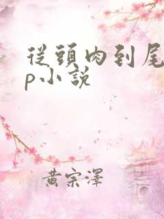 从头肉到尾的多p小说