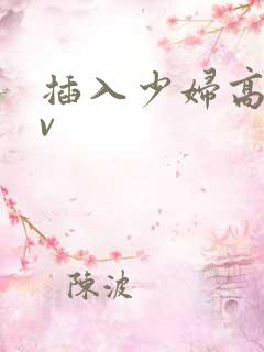 插入少妇高潮av