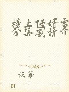 榜上佳婿电视剧分集剧情介绍