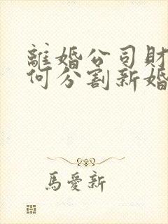 离婚公司财产如何分割新婚姻法2023规定