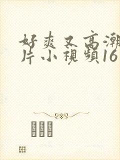 好爽又高潮了毛片小视频16