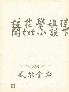 校花学姐从无绯闻txt小说下载