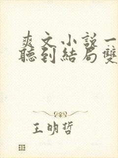 爽文小说一口气听到结局双男主