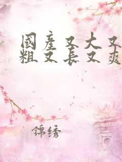 国产又大又硬又粗又长又爽又黄的视频