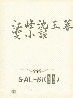 江峰沈玉蓉方雅雯小说