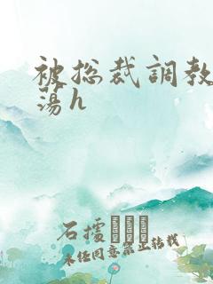 被总裁调教成浪荡h