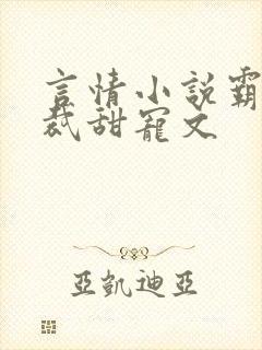 言情小说霸道总裁甜宠文