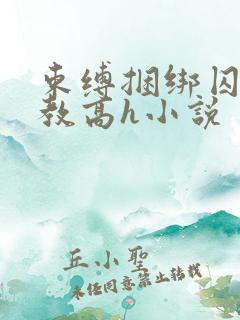 束缚捆绑囚禁调教高h小说