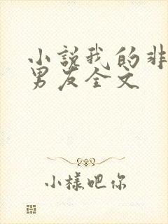 小说我的非非洲男友全文