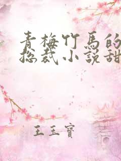 青梅竹马的霸道总裁小说甜宠文