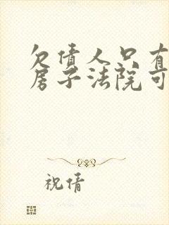 欠债人只有一套房子法院可以强制执行吗