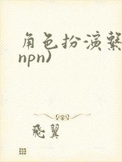 角色扮演系统(npn)