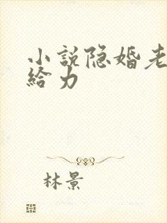 小说隐婚老公超给力