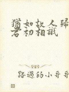 犹如故人归,与君初相识