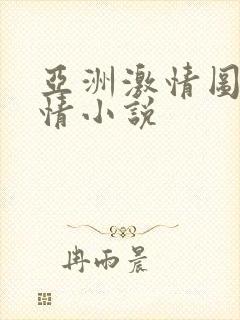 亚洲激情图区激情小说