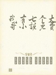我有七个大佬哥哥小说免费阅读无弹窗