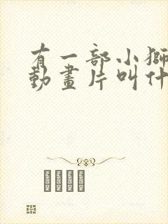 有一部小狮子的动画片叫什么