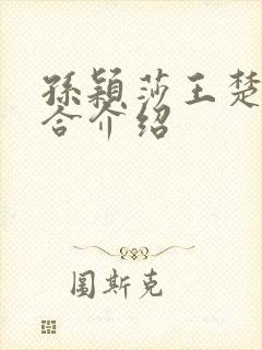 孙颖莎王楚钦组合介绍