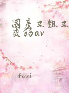 国产又粗又长又爽的av