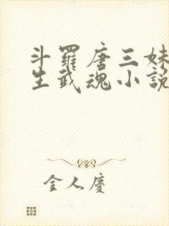 斗罗唐三妹妹双生武魂小说